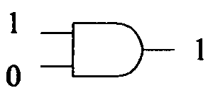 選項 B