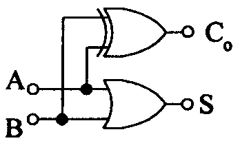 選項 C