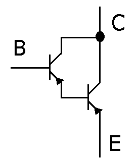 選項 B