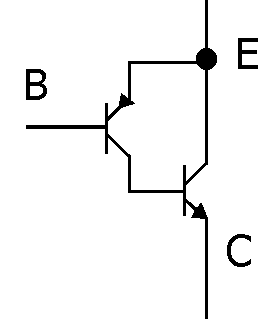 選項 C
