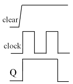 選項 B