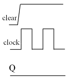 選項 C