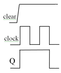選項 D