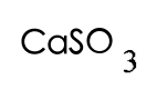 選項 D