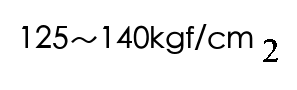 選項 B