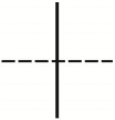 選項 B