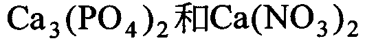 選項 C