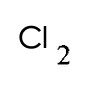 選項 C