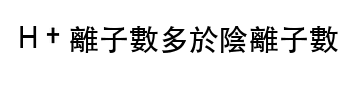 選項 C