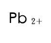 選項 B