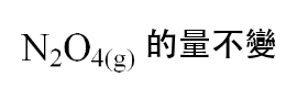 選項 D
