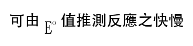 選項 B