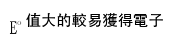 選項 C
