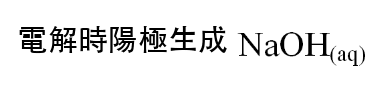 選項 B
