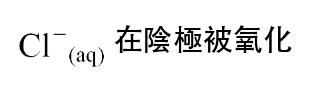 選項 D