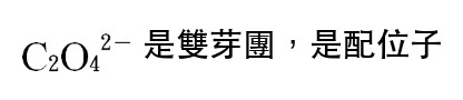 選項 B