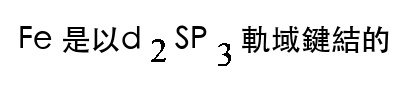 選項 C
