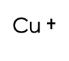 選項 C