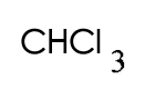 選項 C
