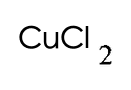 選項 C