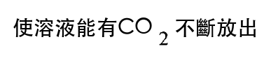 選項 C