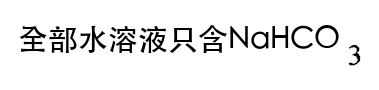 選項 C