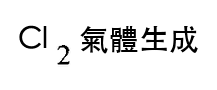 選項 A