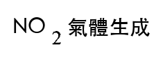 選項 C