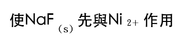 選項 B