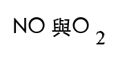 選項 B