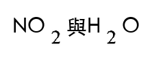 選項 C