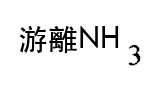 選項 C