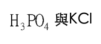 選項 B