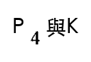 選項 D