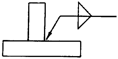 選項 C