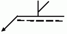 選項 C