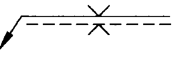 選項 C