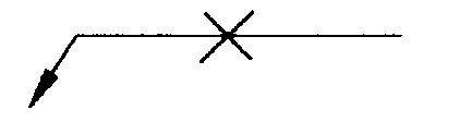 選項 D