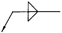 選項 B