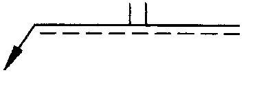 選項 B
