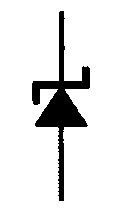 選項 C