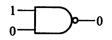選項 A