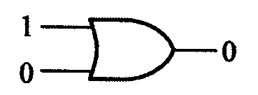 選項 C