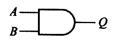 選項 B