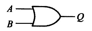 選項 D