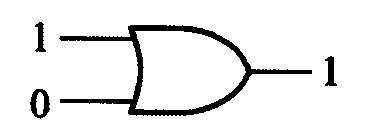選項 C