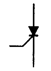 選項 B