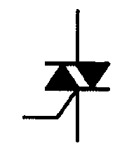 選項 C