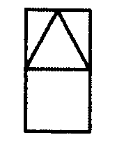 選項 C