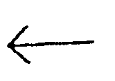 選項 B